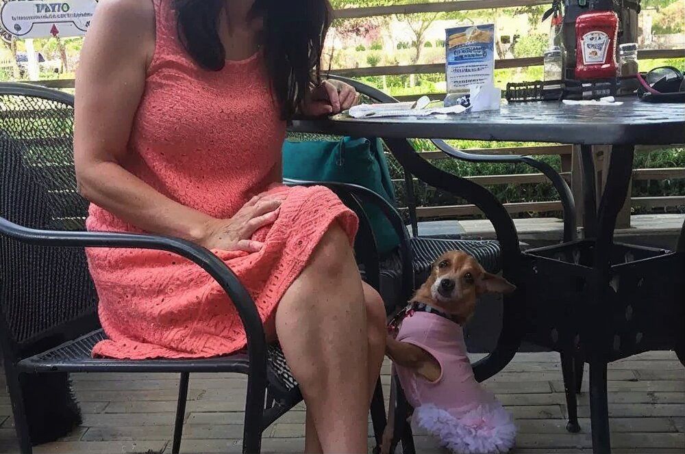 las vegas park las vegas park