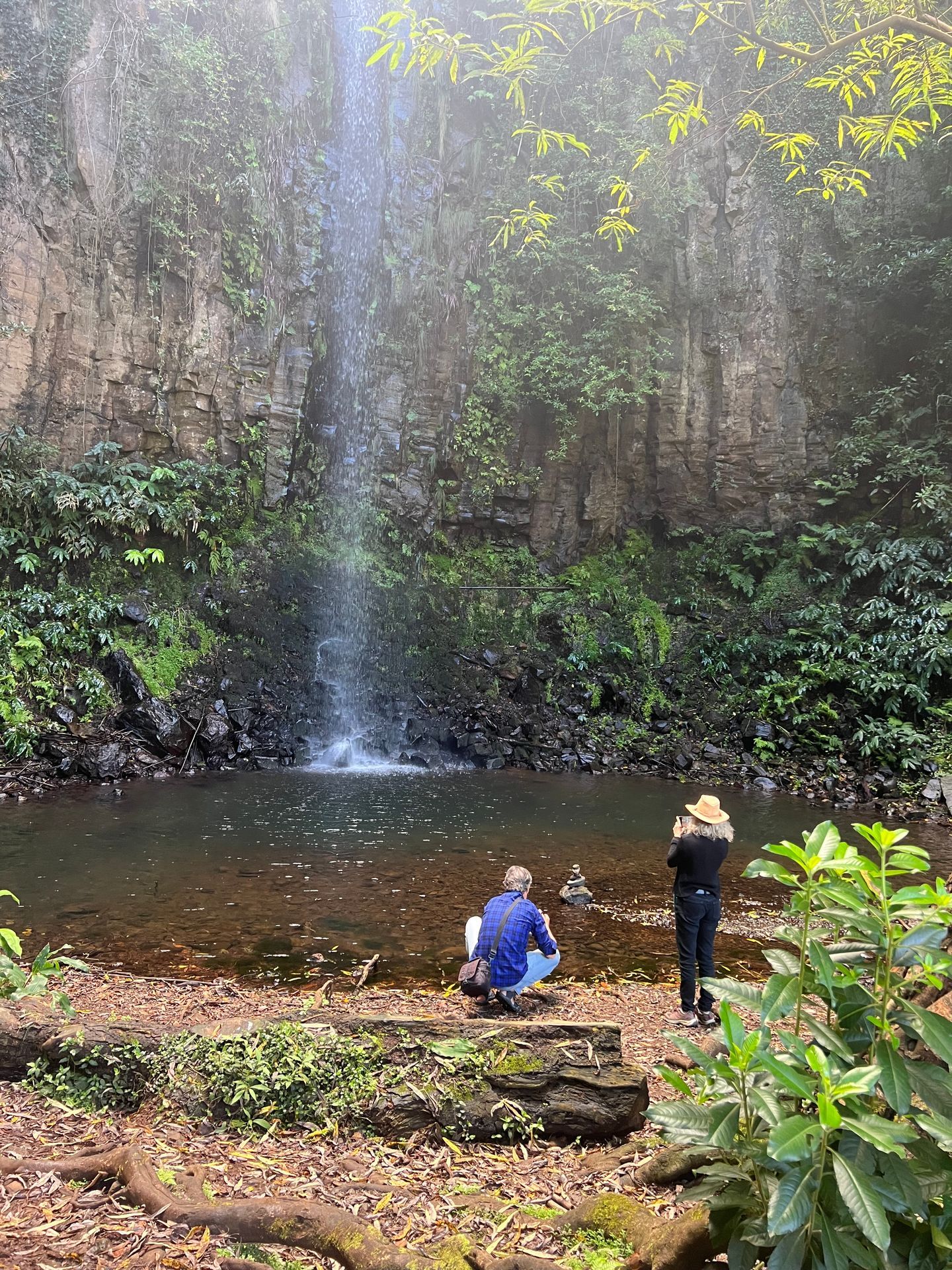 Laurisilva forest in Madeira with cinematic morning light — a popular filming location scouted by fixer Elsa Gouveia.