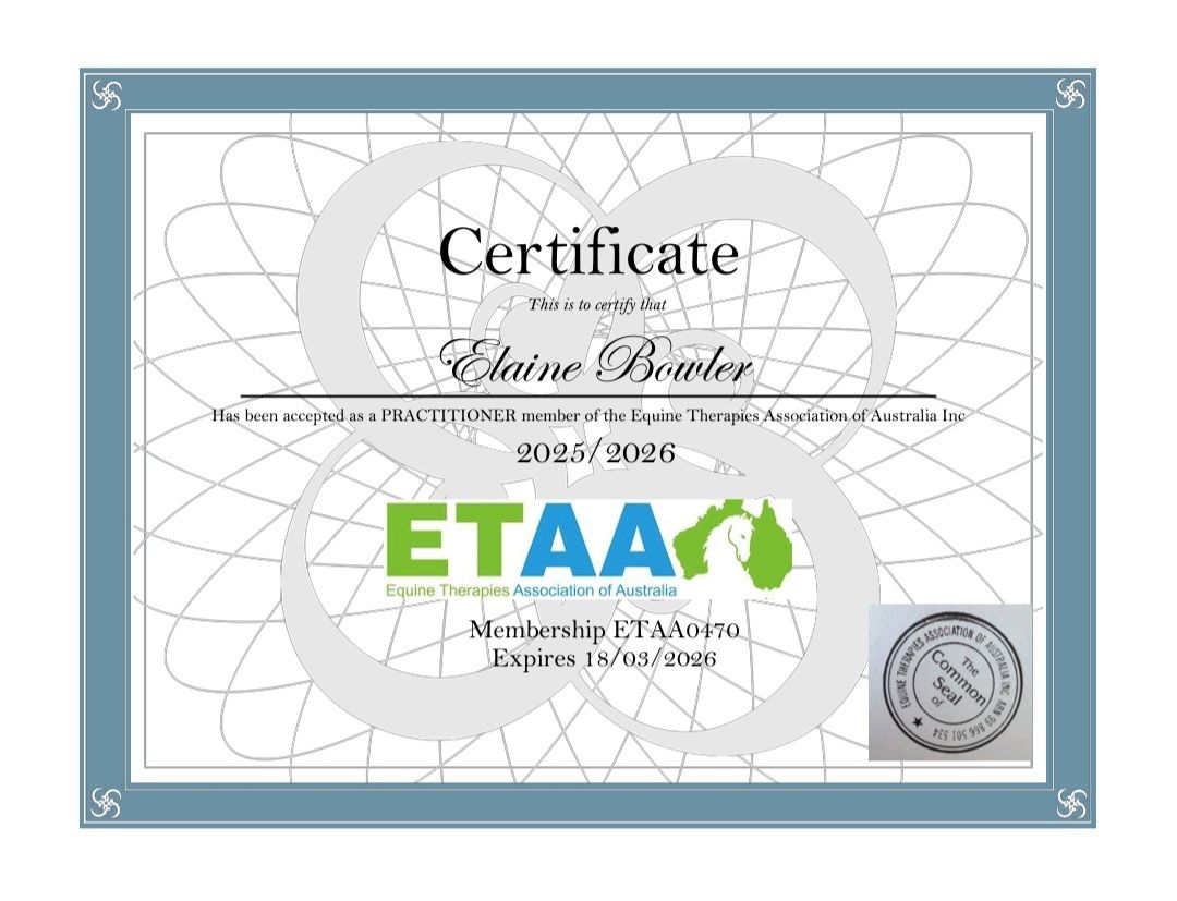 Equine Therapist Association of Australia Certificate