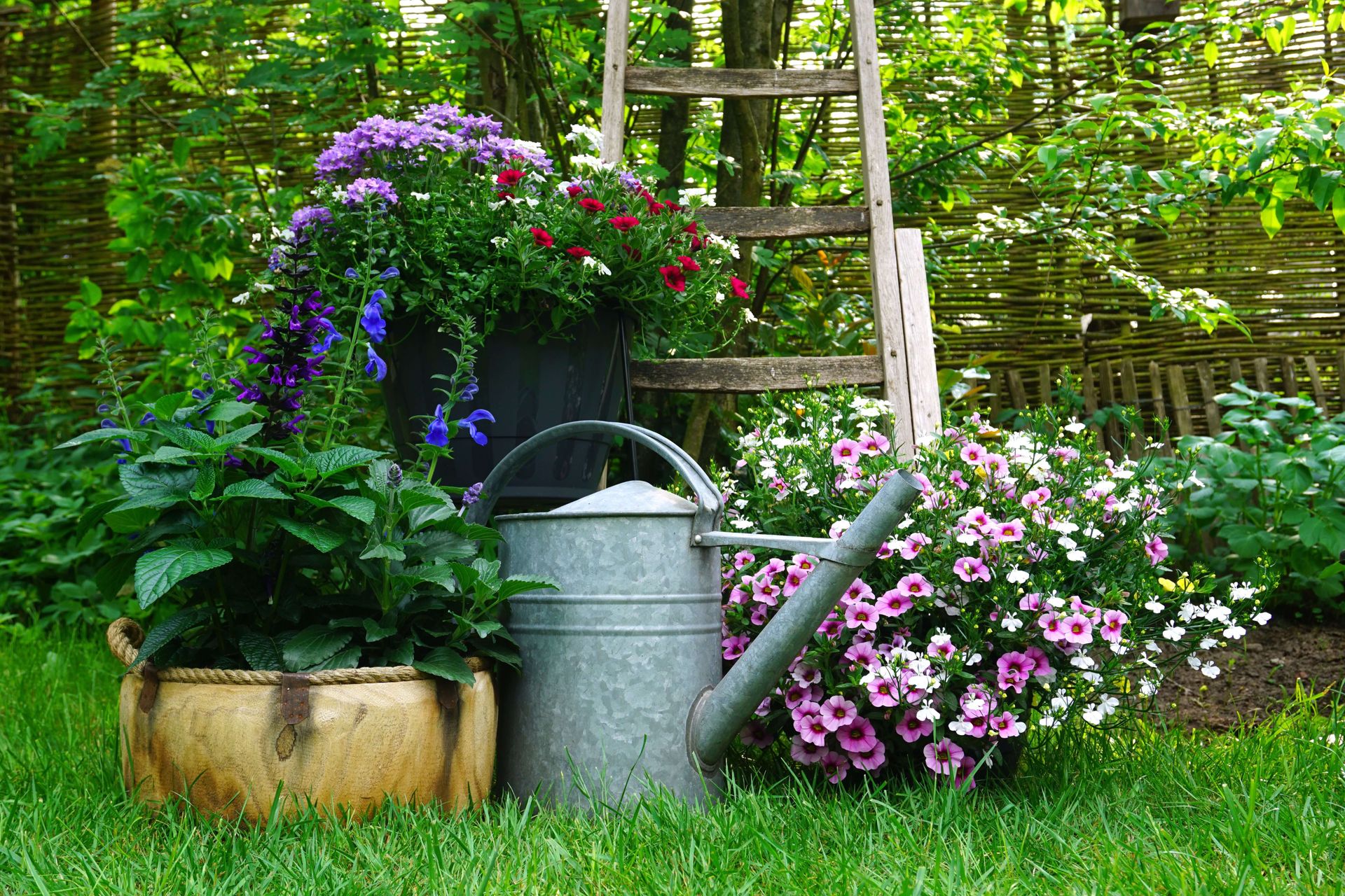 Expert gardening care.