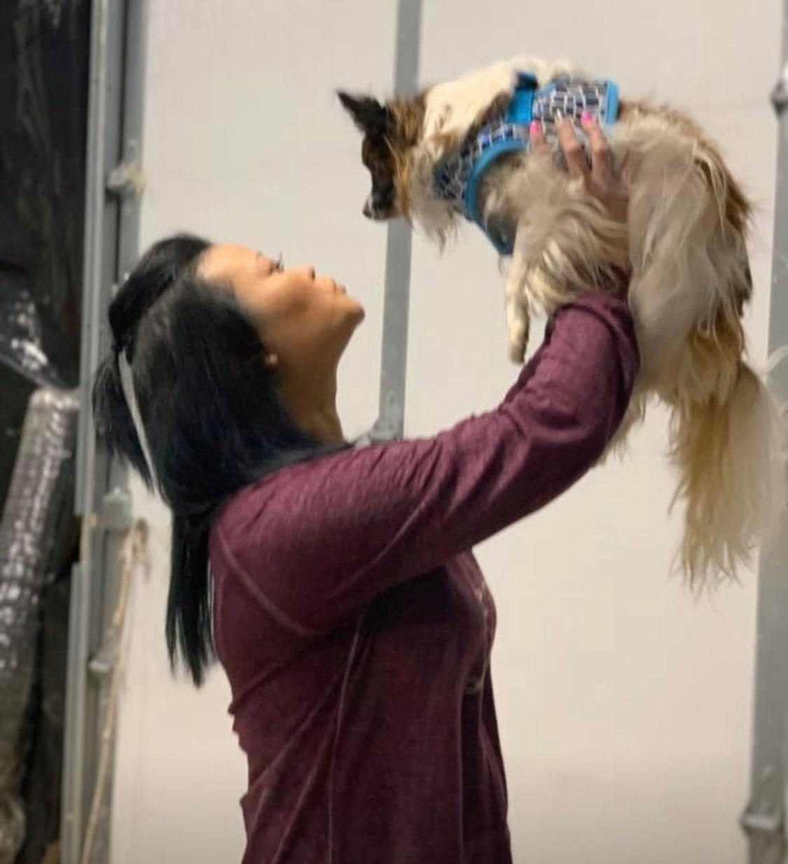 Convenient Online Booking for TopNotch Dog Grooming Services