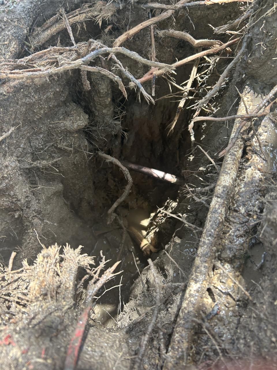 Buried water line exposed by potholing to confirm depth and location before excavation Buried water line exposed by potholing to confirm depth and location before excavation