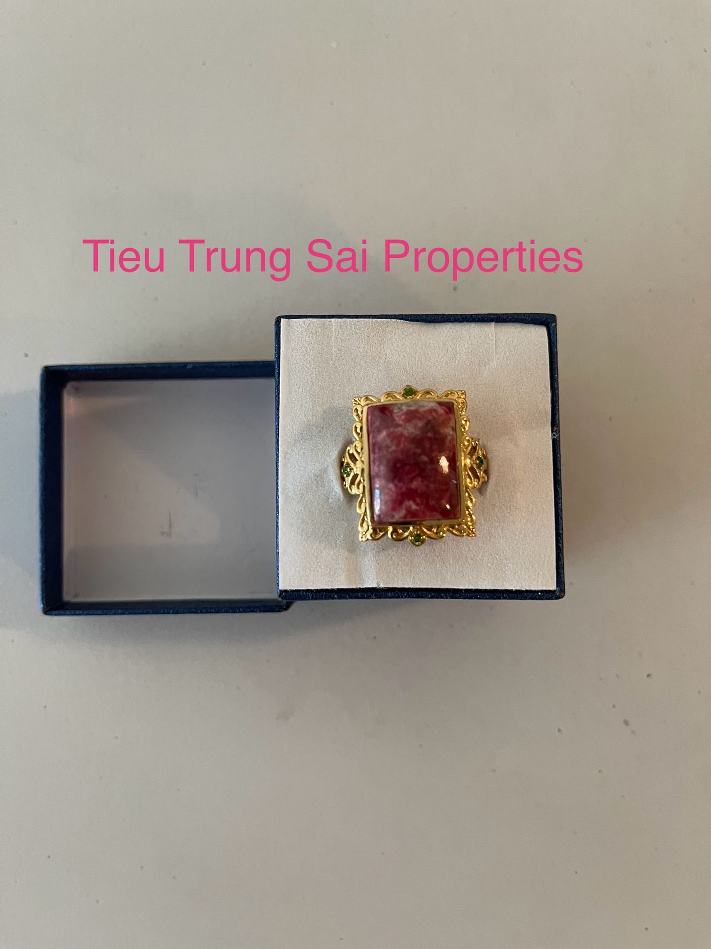 Tieu Trung Sai Properties