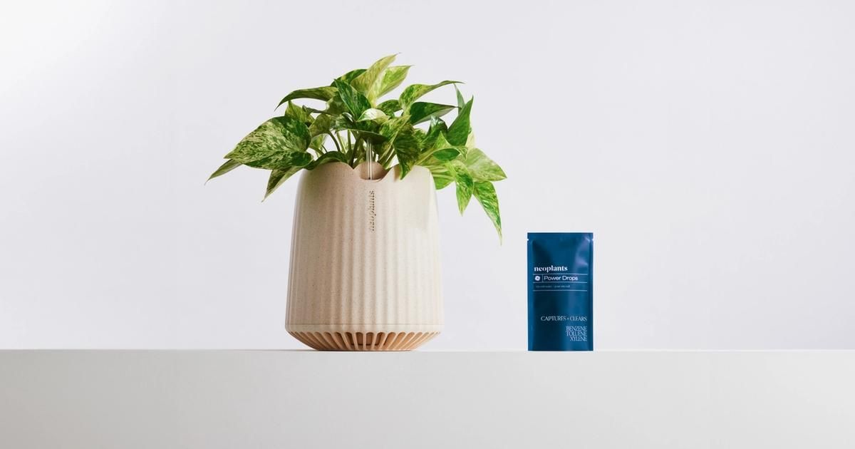 Une plante dans un pot de la marque NEOPLANTS spécialisé dans le contrôle des plantes via la technlogie.