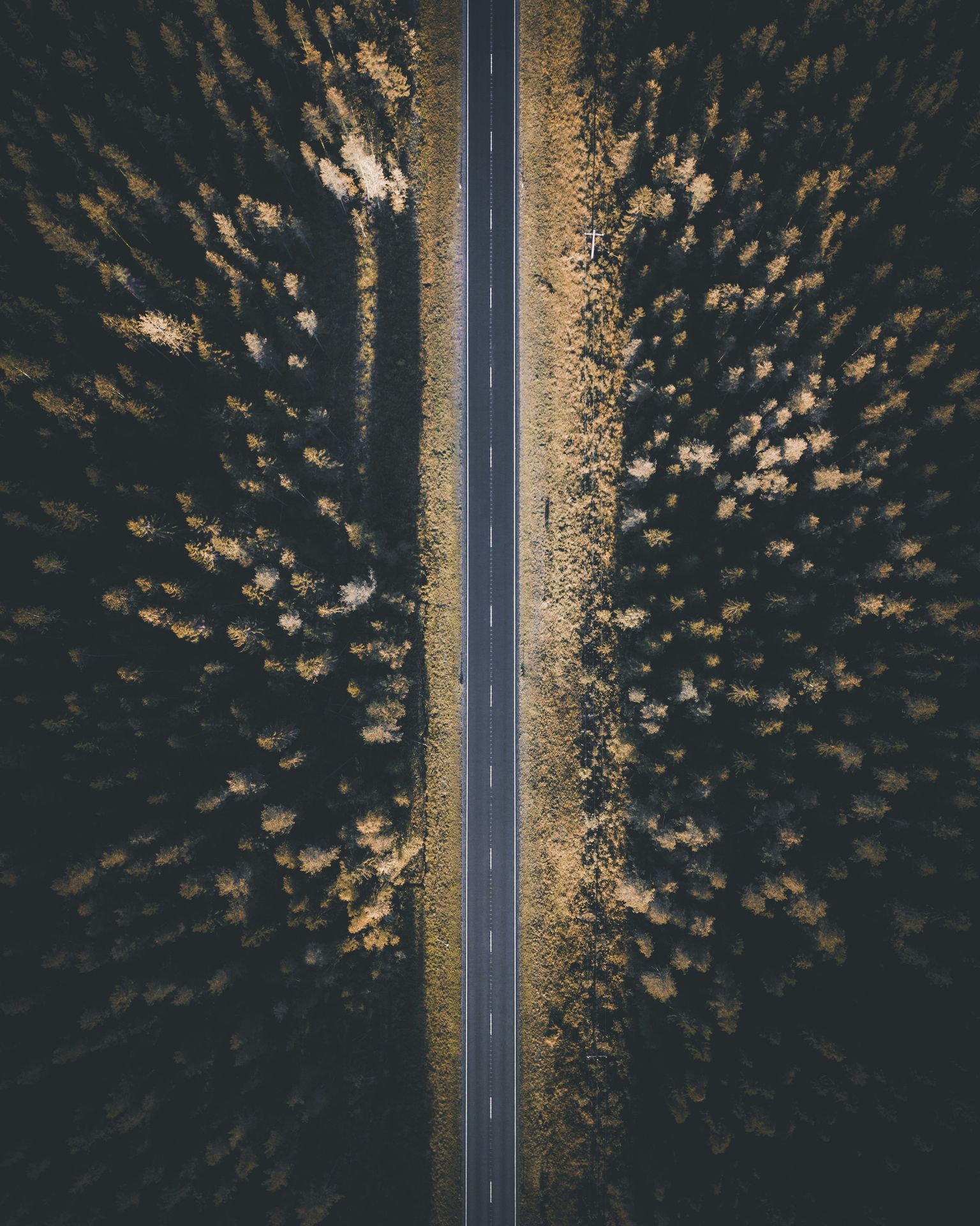 Aerial view of a winding road through lush green fields, symbolizing the new journey of self-discovery, focus, and intentional growth after burnout.