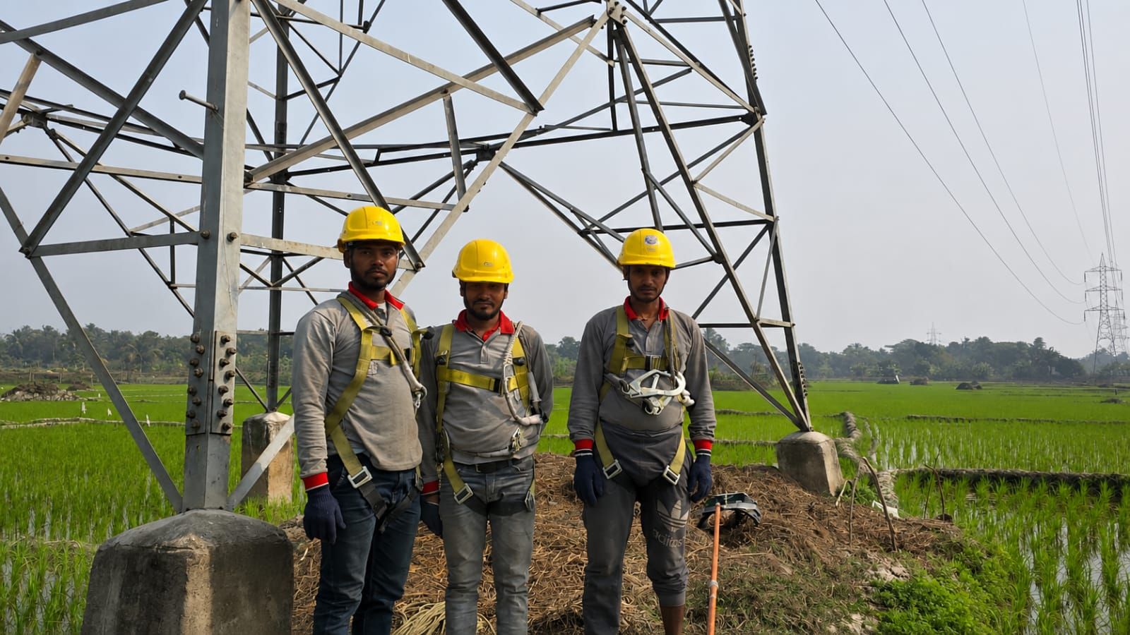 grounding system check