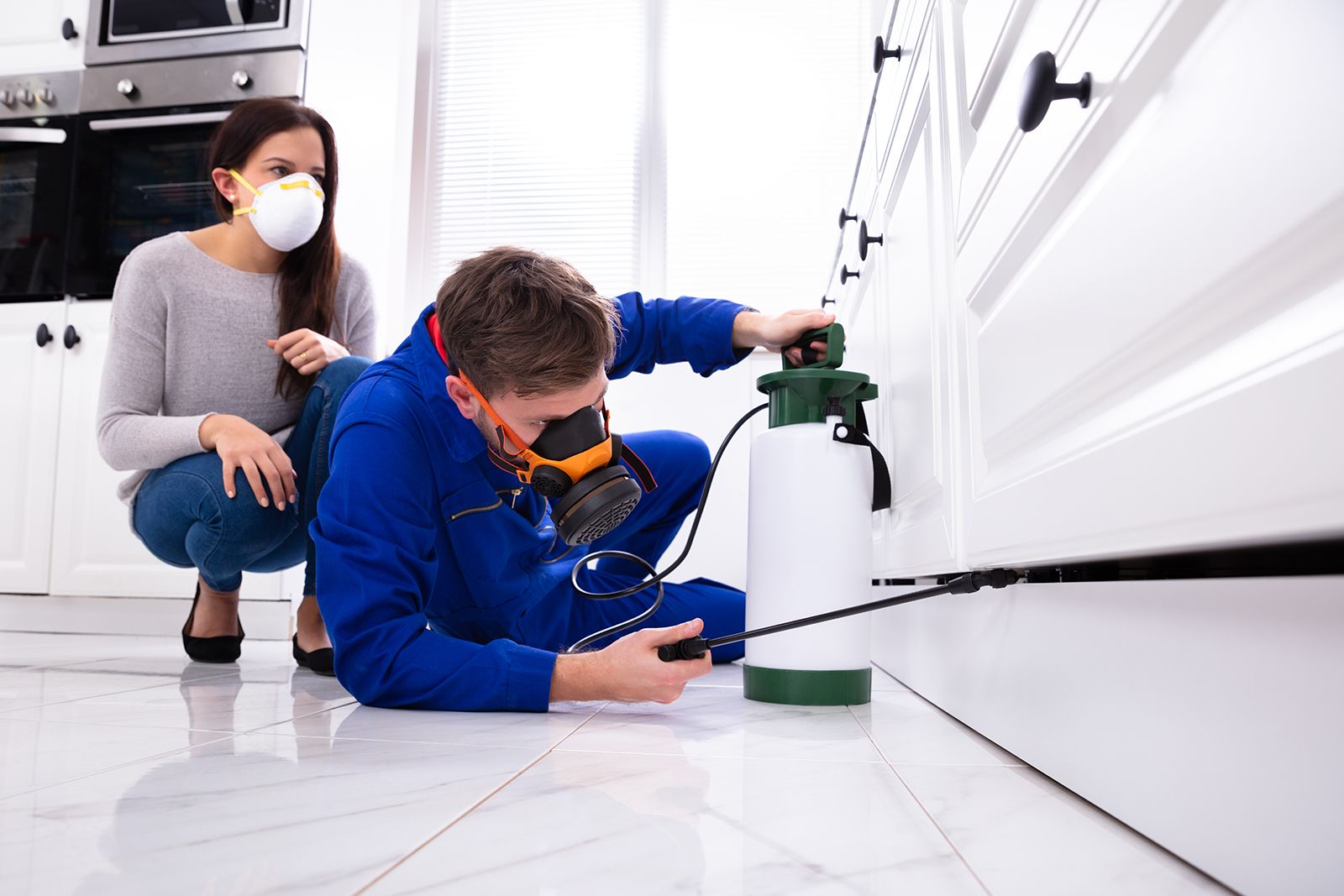 Comprehensive Pest Control Services in Brampton: Protect Your Home and Business from Pests Comprehensive Pest Control Services in Brampton: Protect Your Home and Business from Pests