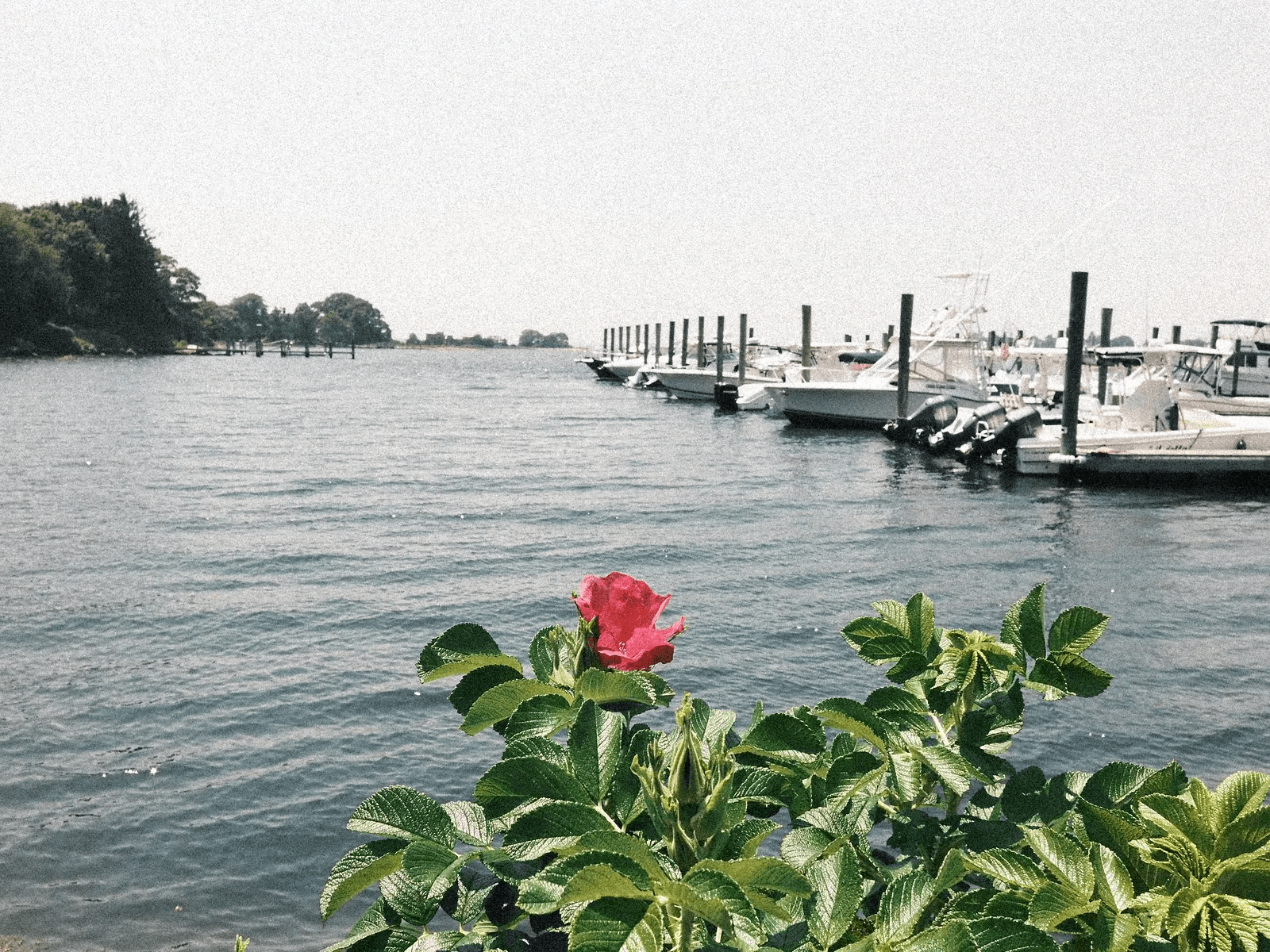 Photo prise avec le Fujifilm X Half Photo prise avec le Fujifilm X Half