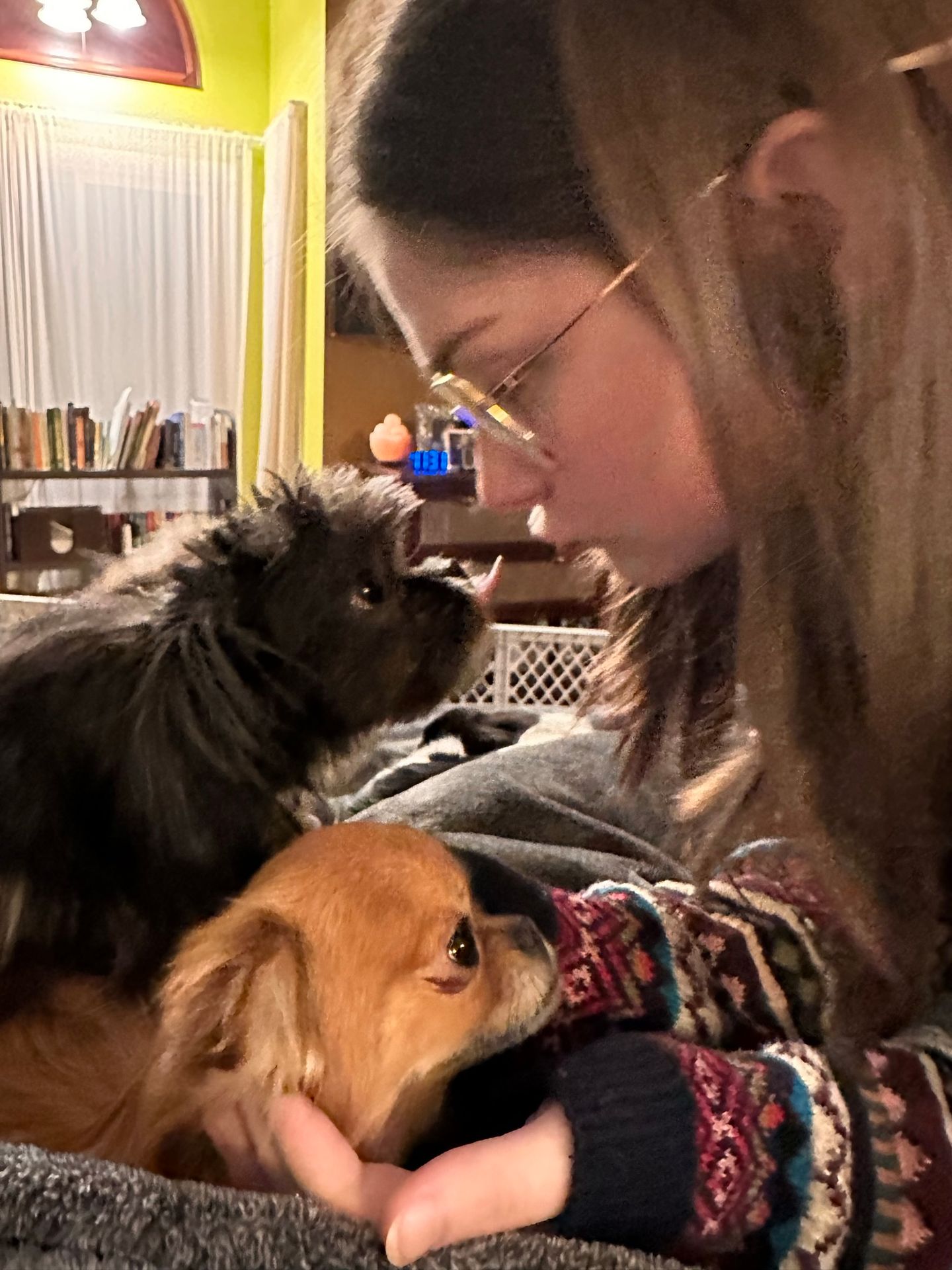 dog companionship dog companionship