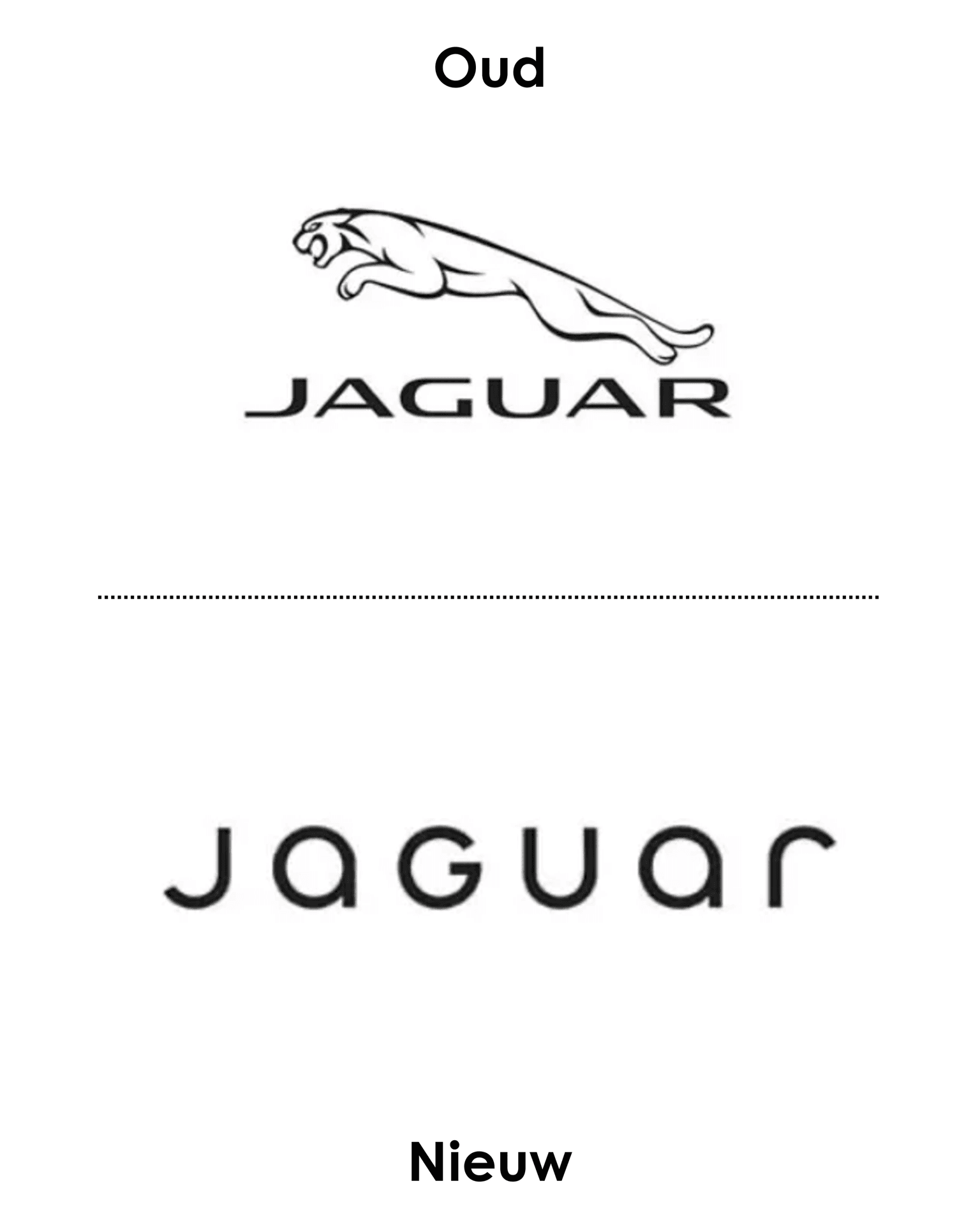Jaguar Jaguar