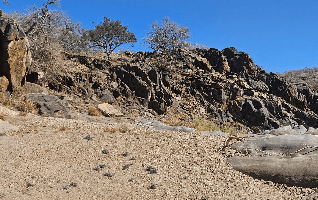 The evergreen bush and rock outcrop near the riverbed