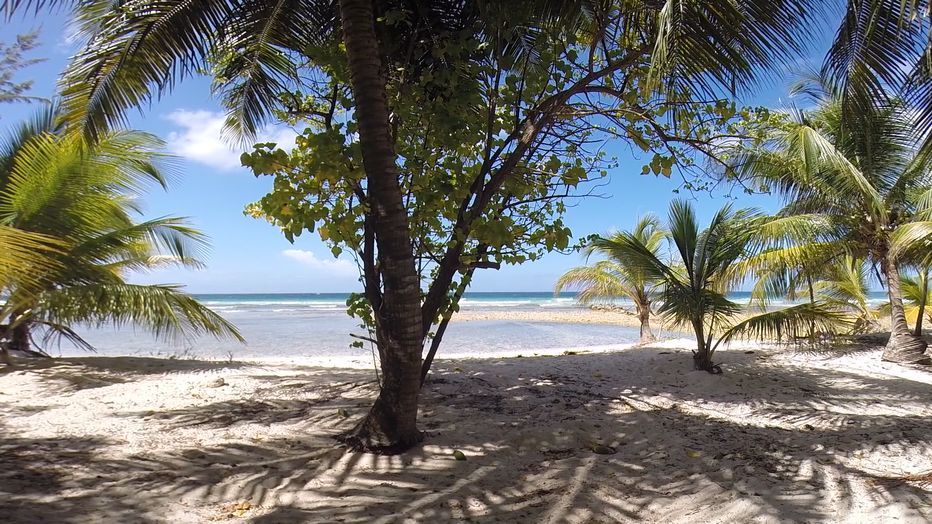barbados beach surfing barbados beach surfing