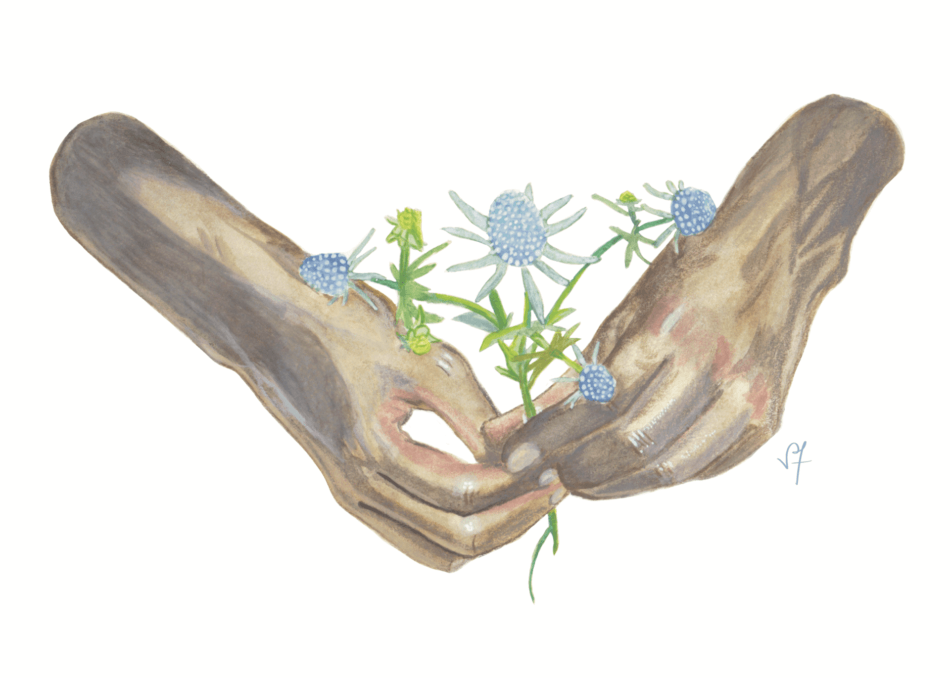Custom illustration example by Jane the Stranger