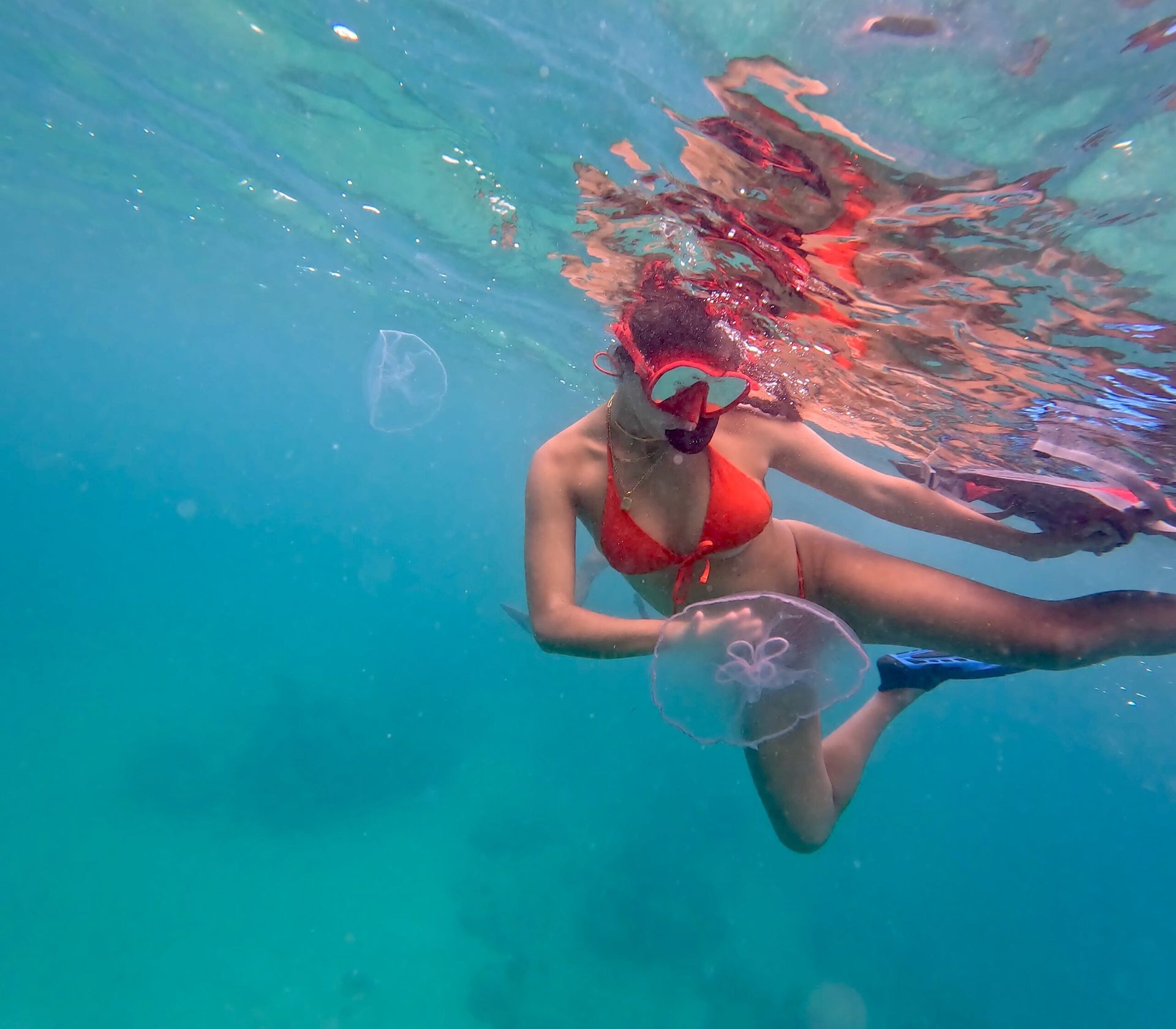 marine conservation marine conservation