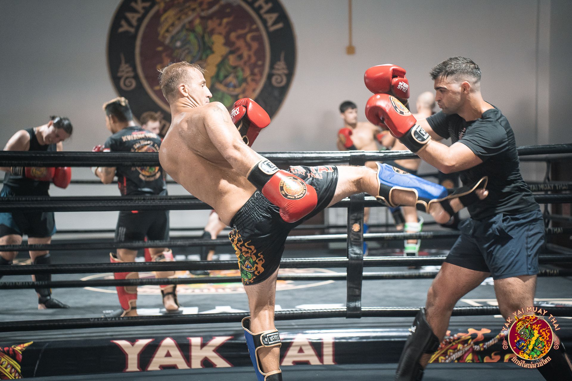 advanced muay thai