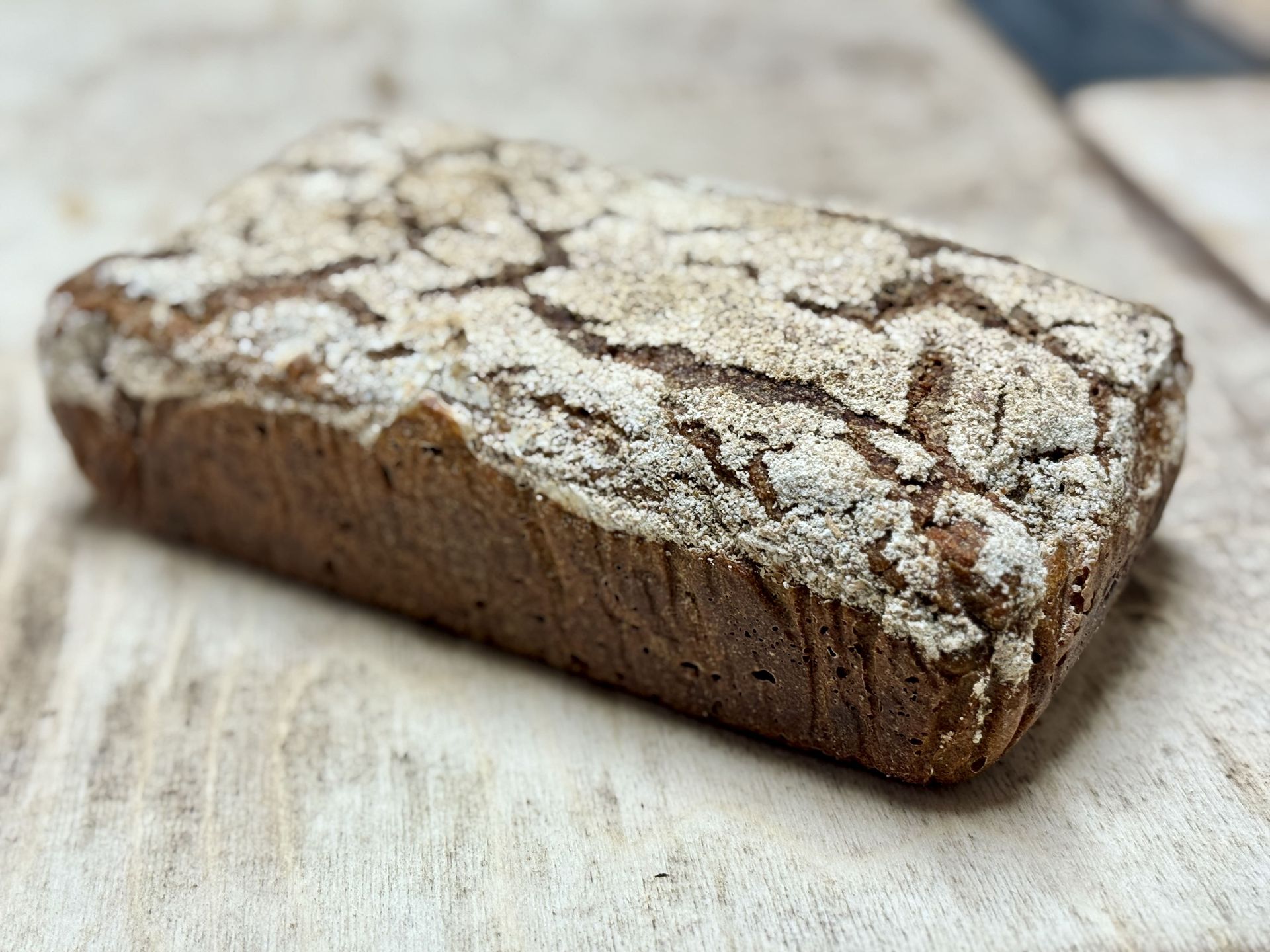 Freshly baked gourmet breads for sale in German bakery
