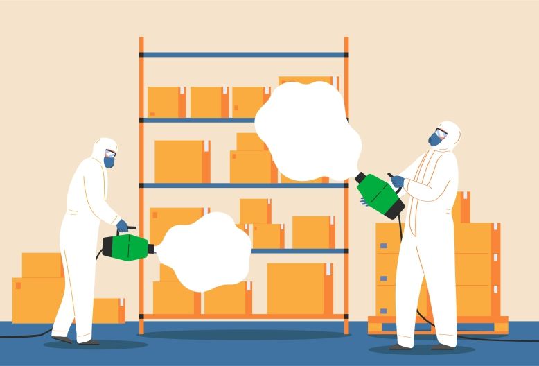 pavement ants, structural integrity, wood-boring insects,