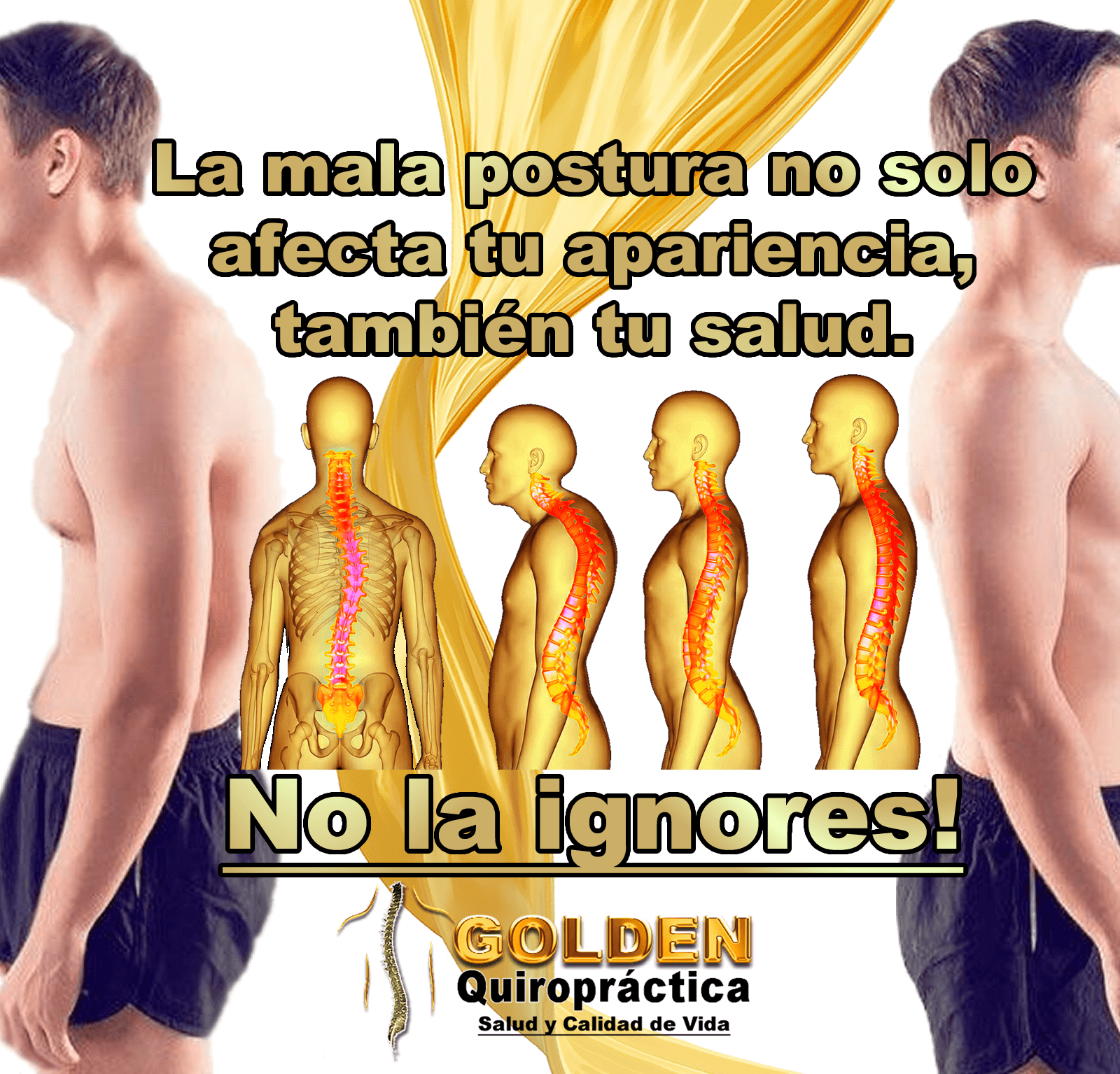 chiropractic session chiropractic session