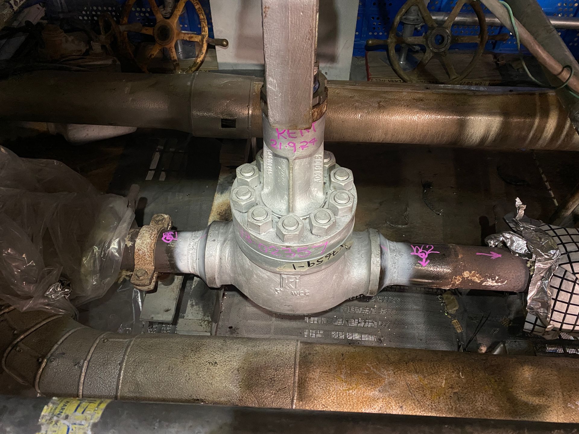 ndt specialist