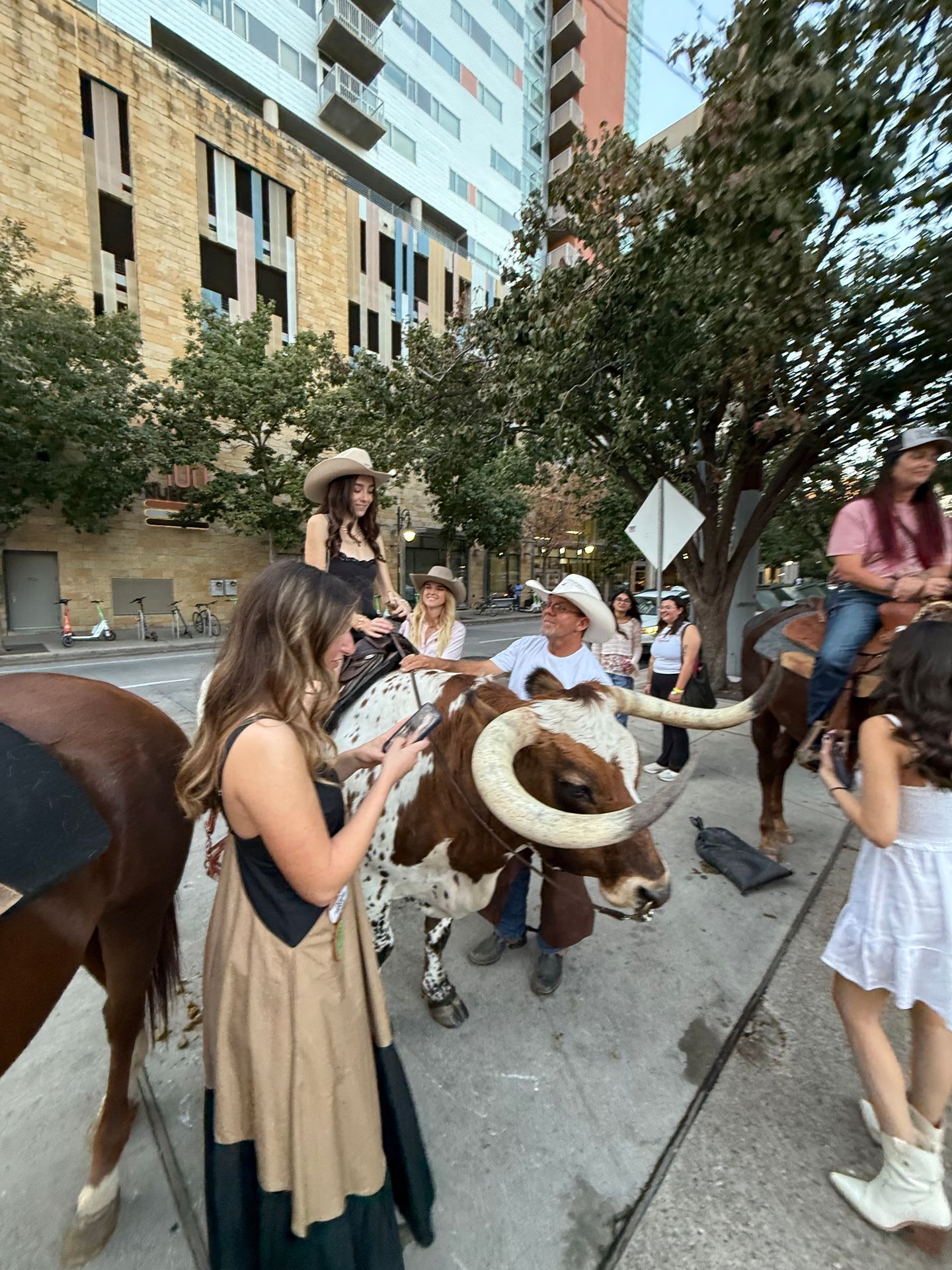 city longhorns city longhorns