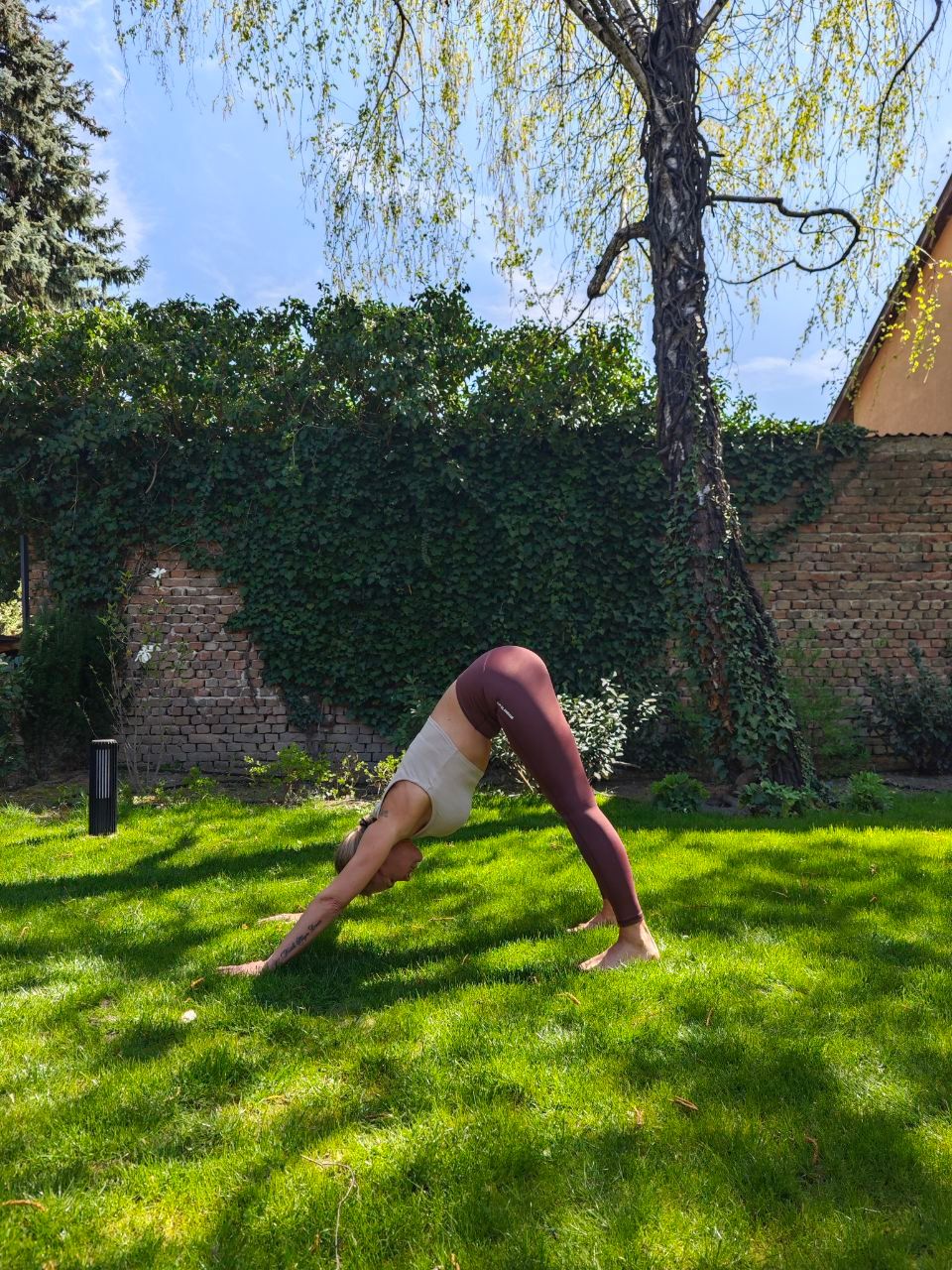 életmódváltás életmódváltás