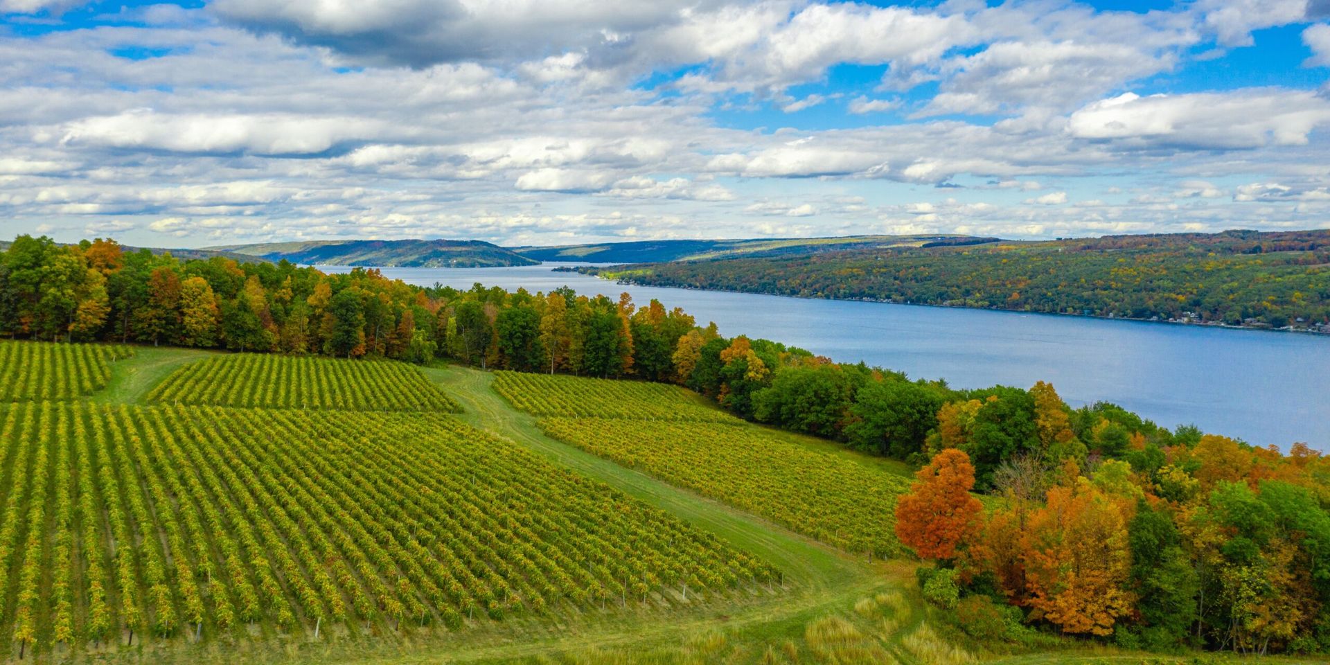 Aerial view of a vineyard overlooking a blue lake, surrounded by colorful autumn trees under a partly cloudy sky. Aerial view of a vineyard overlooking a blue lake, surrounded by colorful autumn trees under a partly cloudy sky.