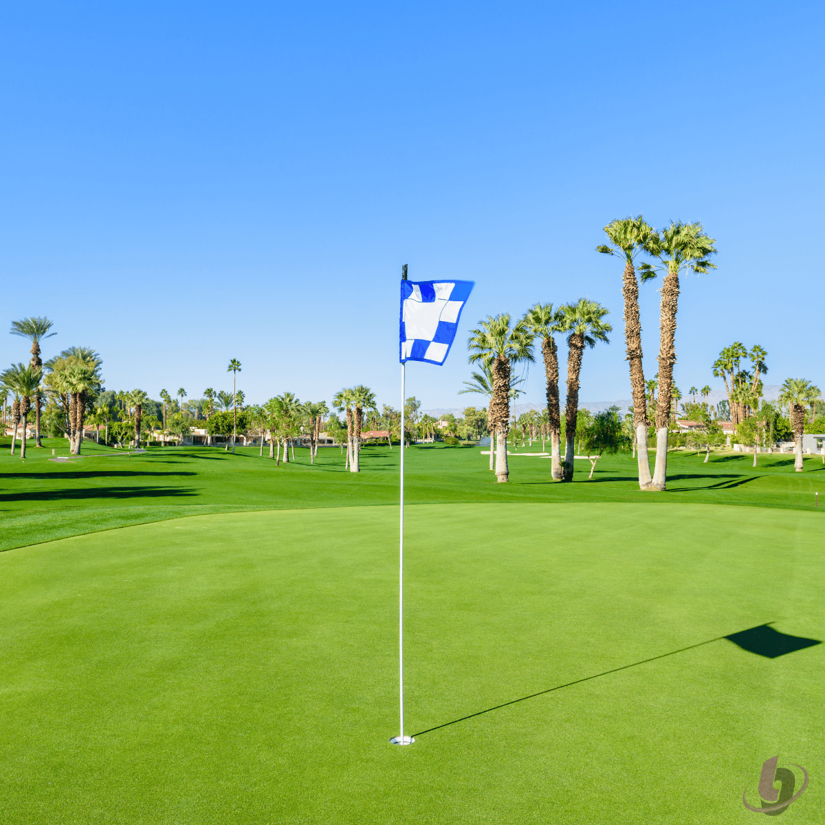 Golf Course with blue sky and palm trees