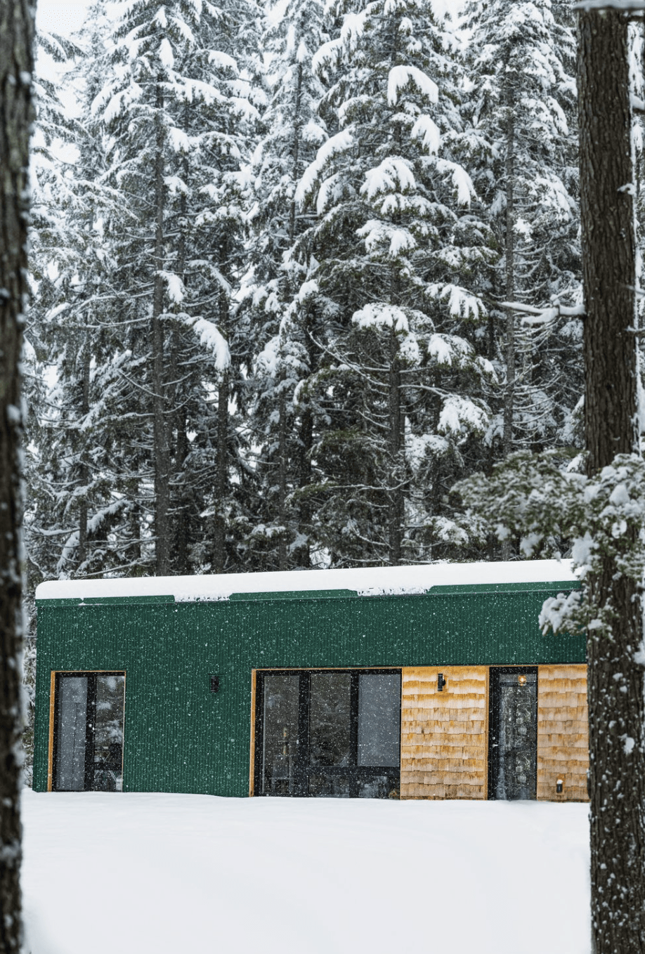 Squamish laneway home Squamish laneway home