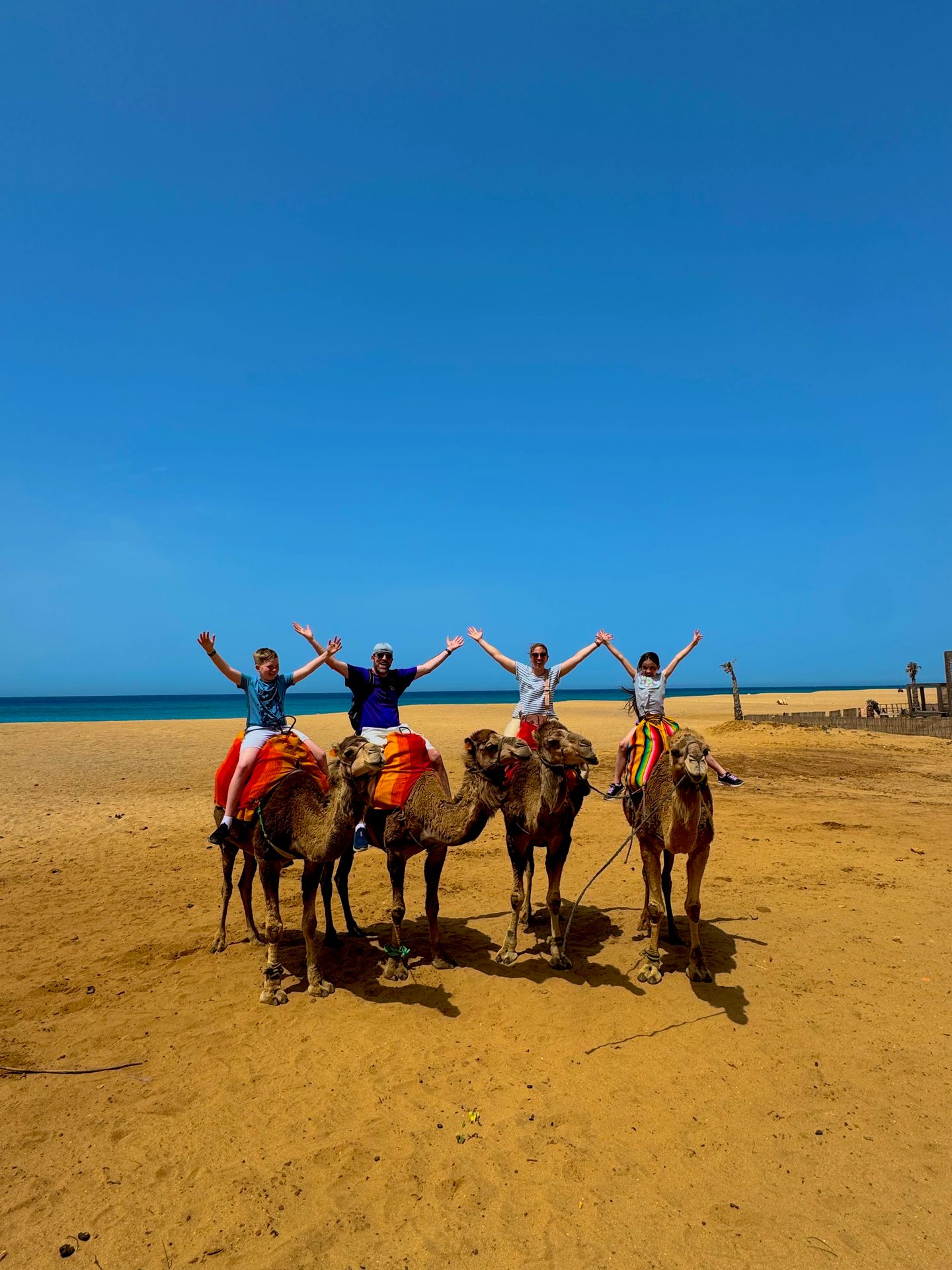 Camel ride Tangier Atlantic coast