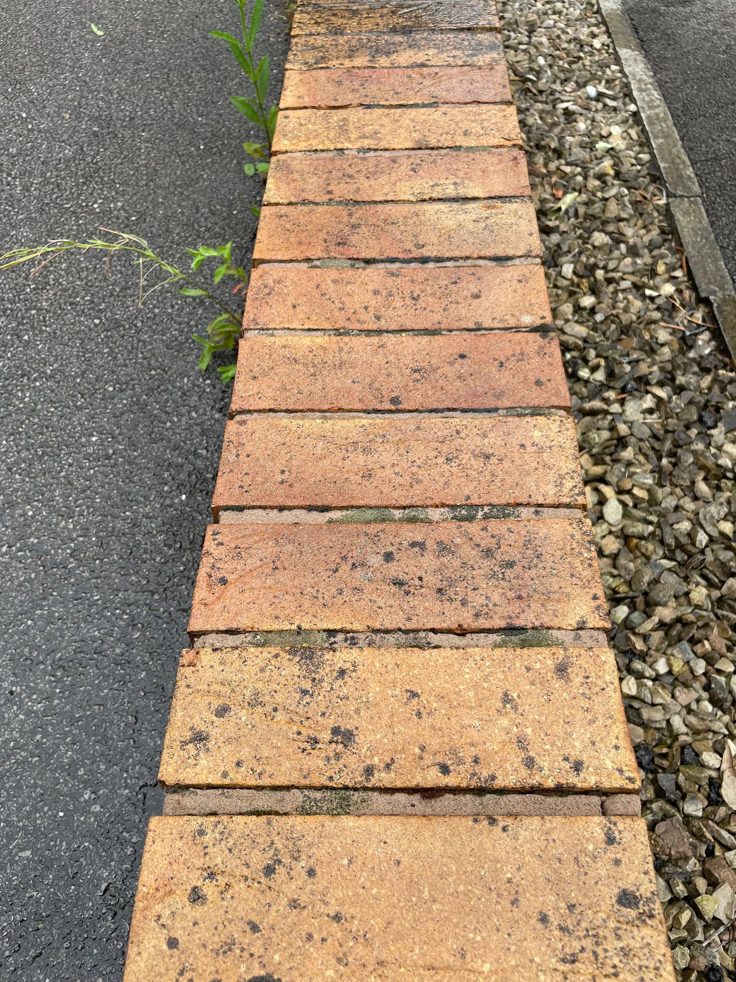 Brick wall showing some organic staining during cleaning process
