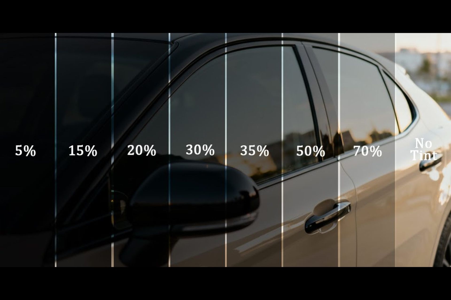 Tint guides Tint guides