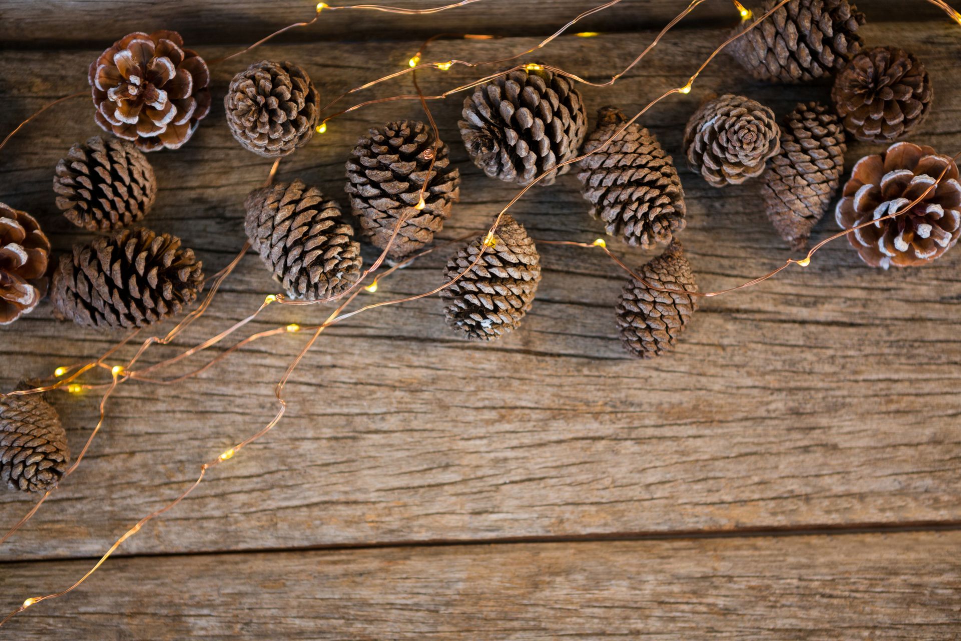 Pommes de pin naturelles