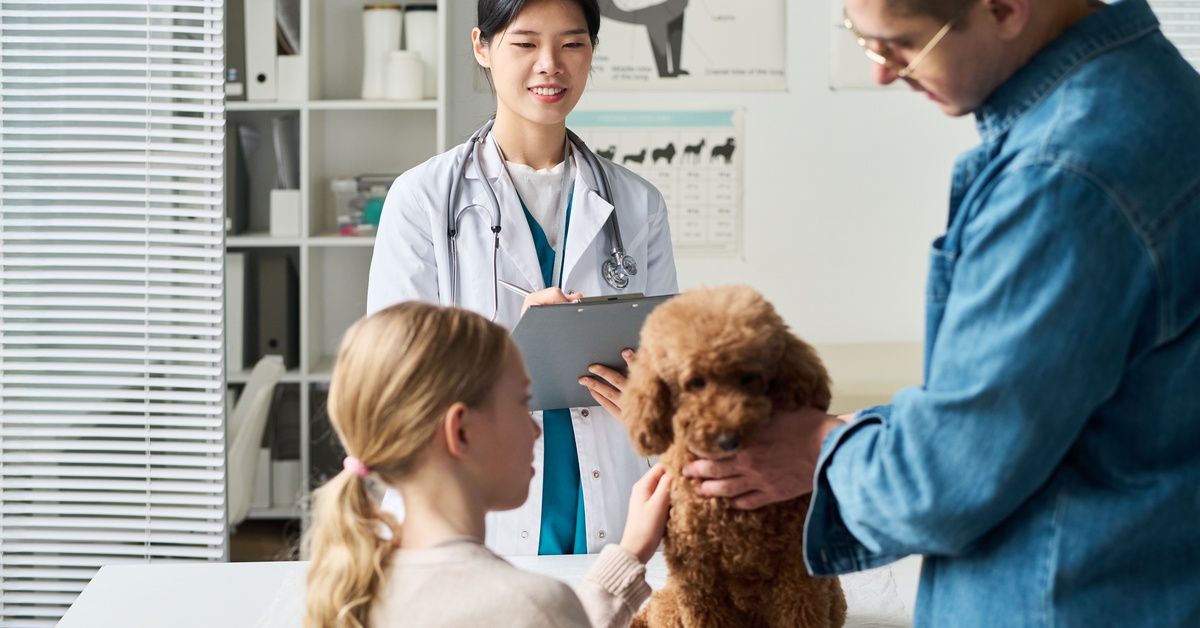 A father and his young daughter comfort their fluffy brown poodle as they speak with a young female veterinarian. A father and his young daughter comfort their fluffy brown poodle as they speak with a young female veterinarian.