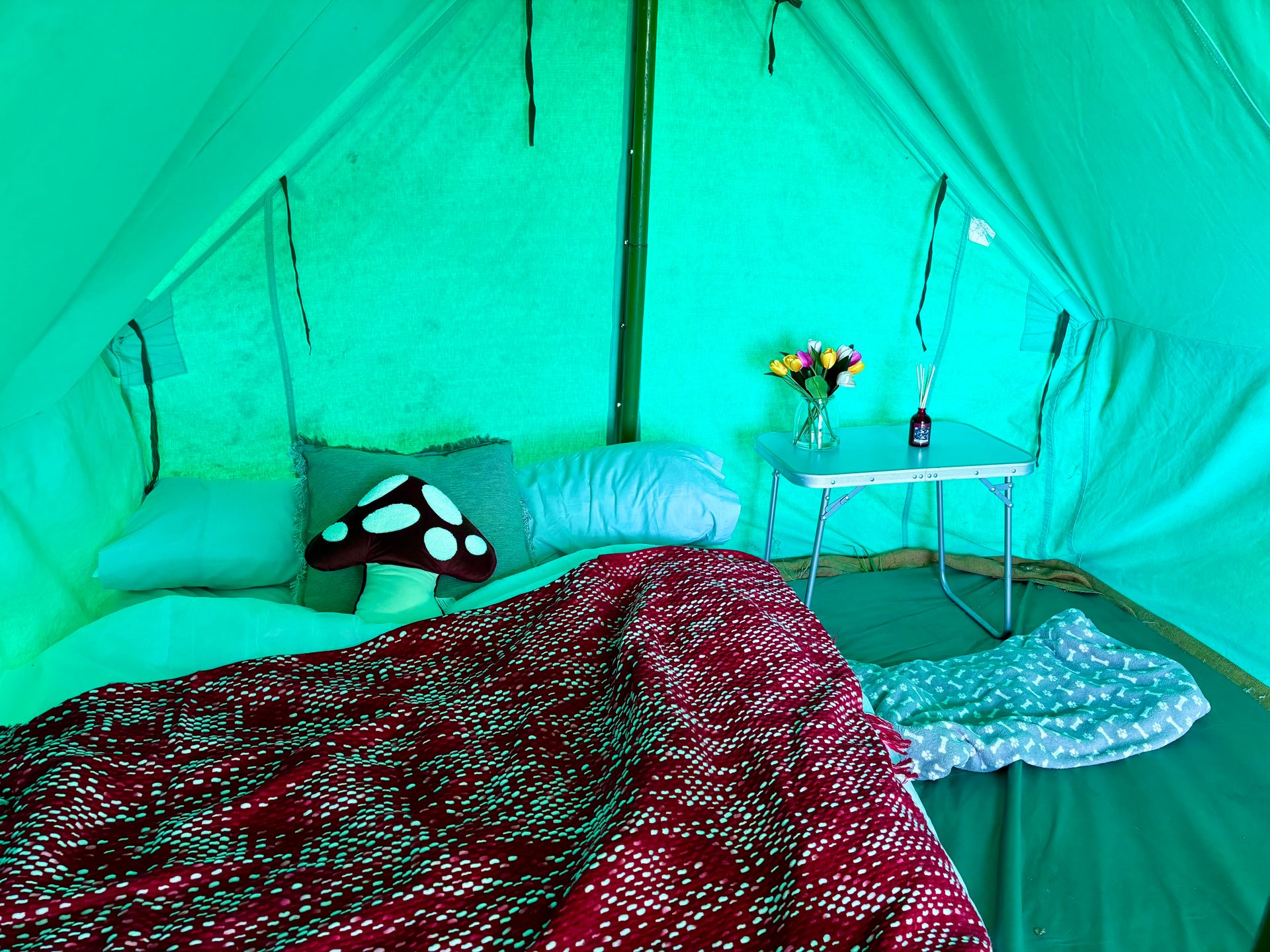eco glamping eco glamping