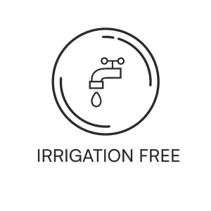 Benefit Logo 4