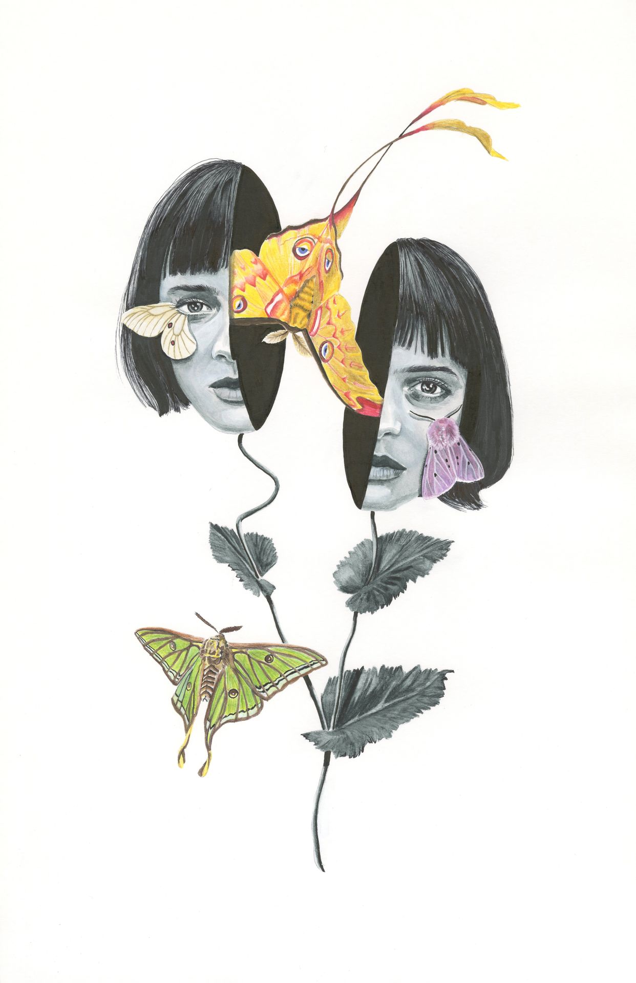 Watercolor and mixed media flowerfly figure by Jane the Stranger — two split female faces on twin stems, large yellow moth between them, green luna moth below, dark botanical leaves