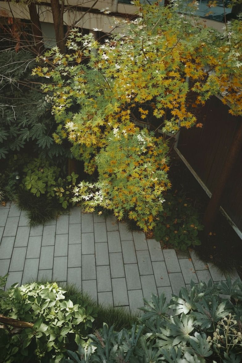 Side garden and walkway in autumn Side garden and walkway in autumn