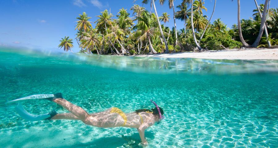 A snorkeler swims in clear turquoise water near a palm-lined tropical beach.
