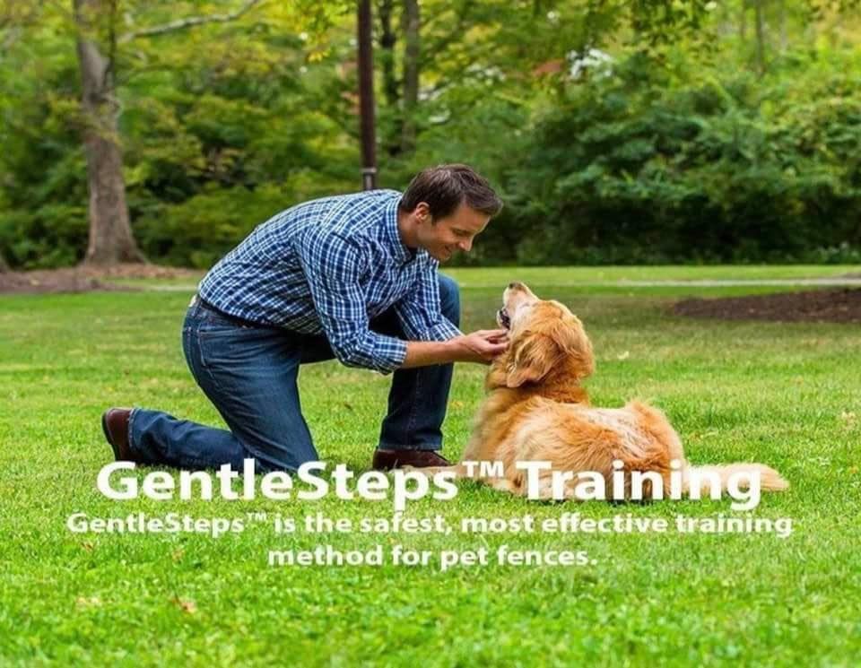 Dog learning boundary training with GentleSteps Pet Stop underground fence system