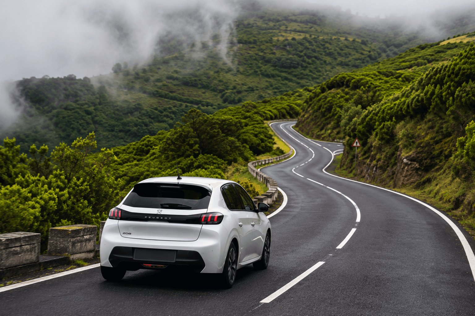Road leading to Fanal Forest in Madeira.