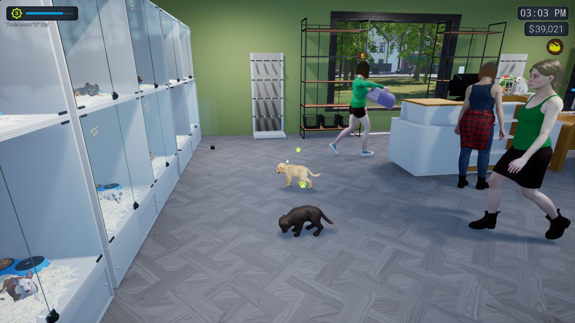 Exotica 2: Pet Shop Simulator