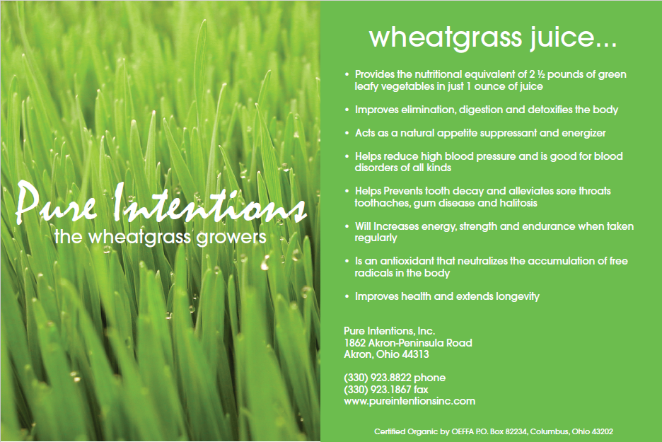 Pure Intentions Inc