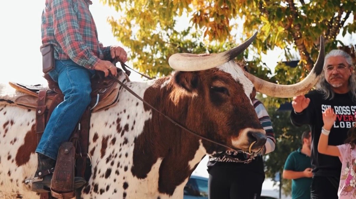 Ben the Legendary Longhorn™ on a live film shoot in Texas with rider and handler Moe Taylor — production-ready animal talent available for film, commercials, and video production through Hooves & Horns TX