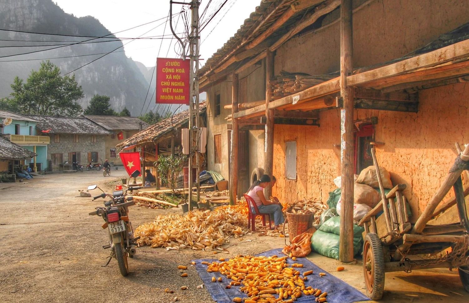 traditional Vietnamese architecture