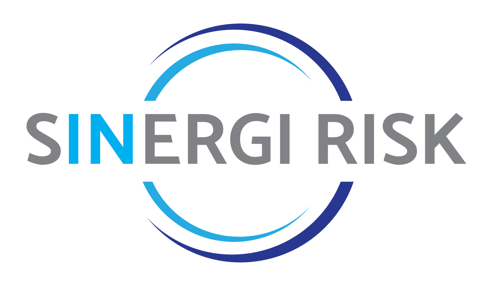 Sinergi Risk