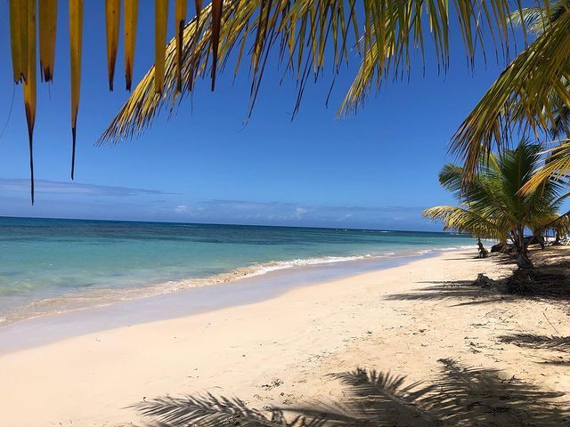 Quiet tropical beach with palm trees, soft sand, and clear blue Caribbean water under a bright sky. Quiet tropical beach with palm trees, soft sand, and clear blue Caribbean water under a bright sky.
