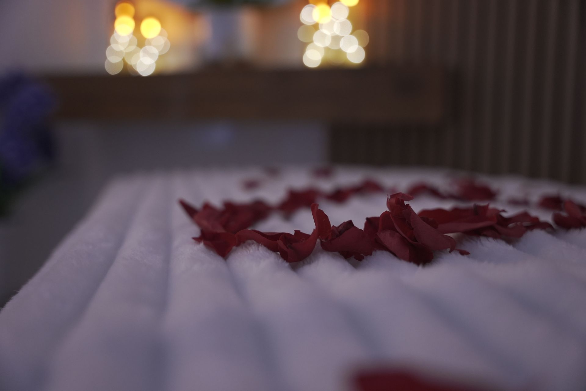 rose petals on a spa bed at a local head spa near lakewood california rose petals on a spa bed at a local head spa near lakewood california