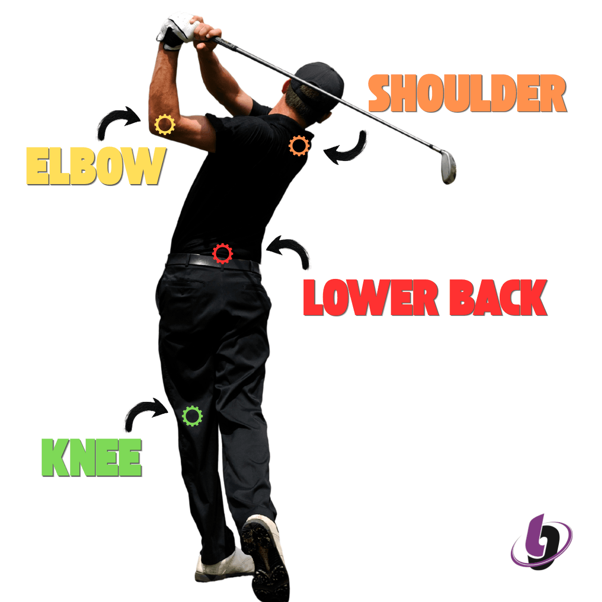 Diagram showing common golf injuries including shoulder elbow lower back and knee with labeled pain points during the golf swing
