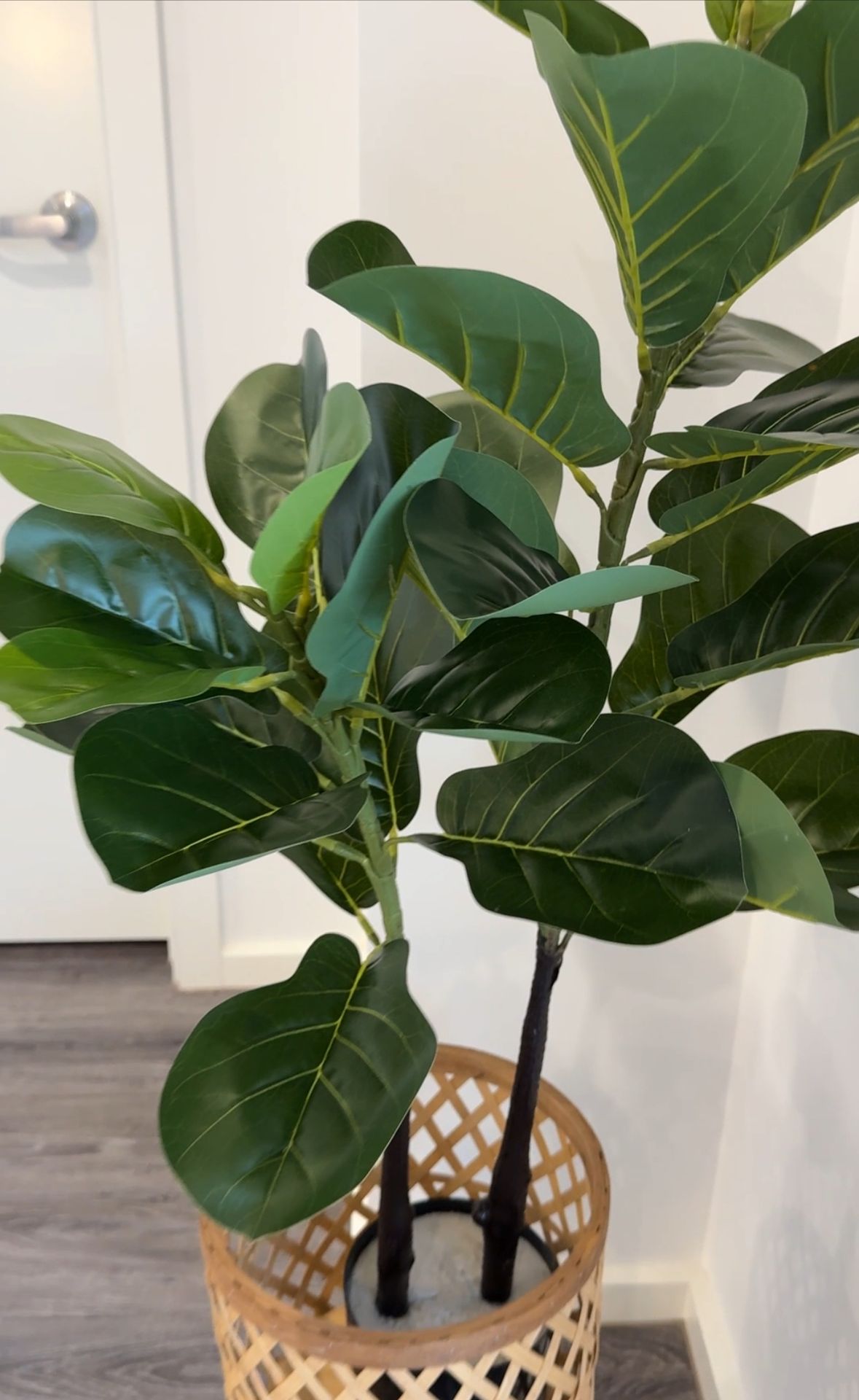 color theory color theory