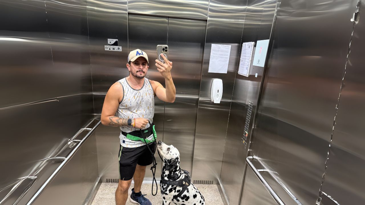 Dálmata no elevador, Dálmata no elevador,